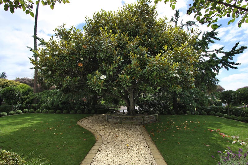 10 Silva Crescent, Riverlea, Hamilton - Carousel 25