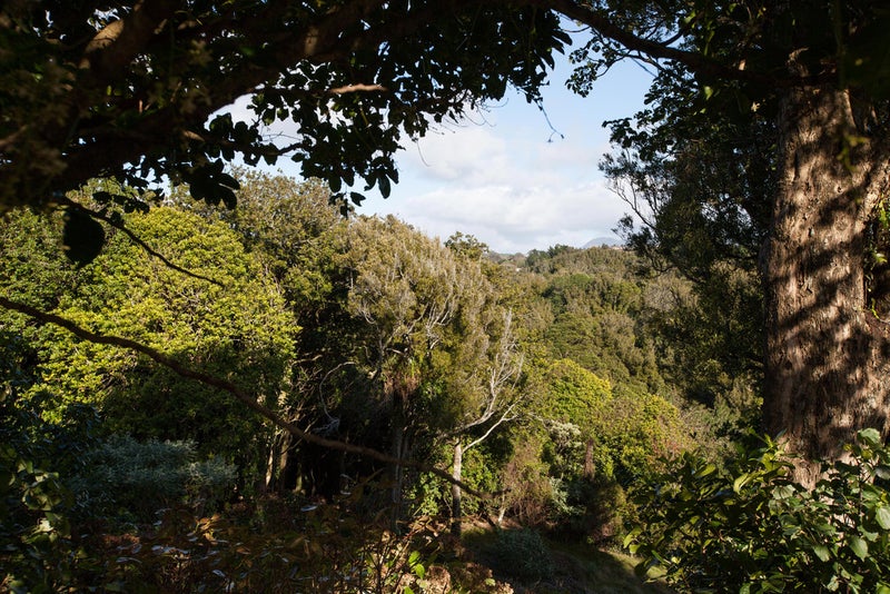 222A Huatoki Street, Upper Vogeltown, New Plymouth - Carousel 26