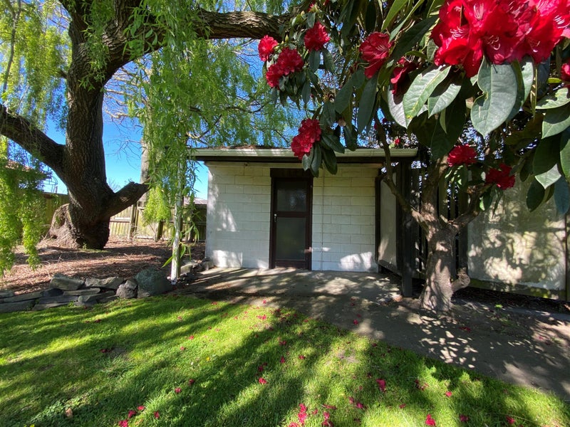 56 Steadman Road, Broomfield, Christchurch - Carousel 22