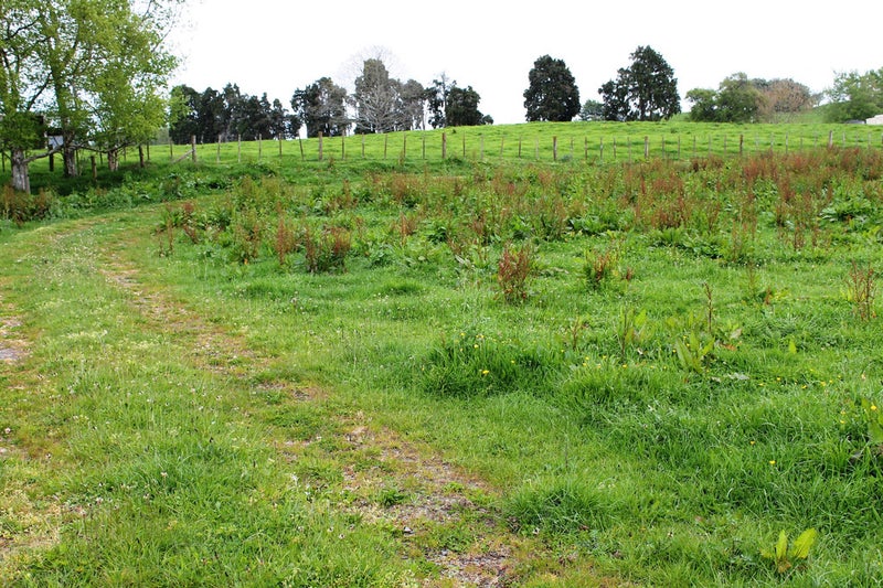 30 State Highway 5, Tirau - Carousel 2