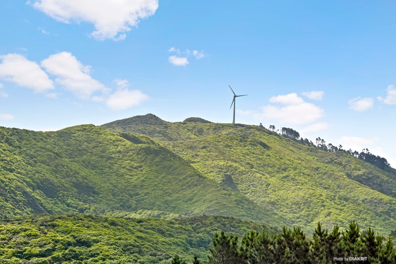 4 Camrose Grove, Kingston, Wellington - Carousel 17