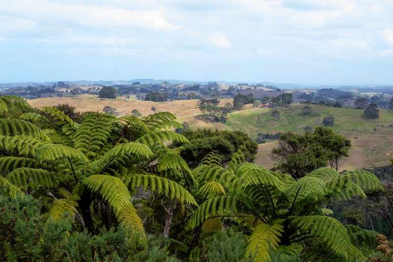 0 Kaipara Coast Highway, Tauhoa, Wellsford - Carousel 2