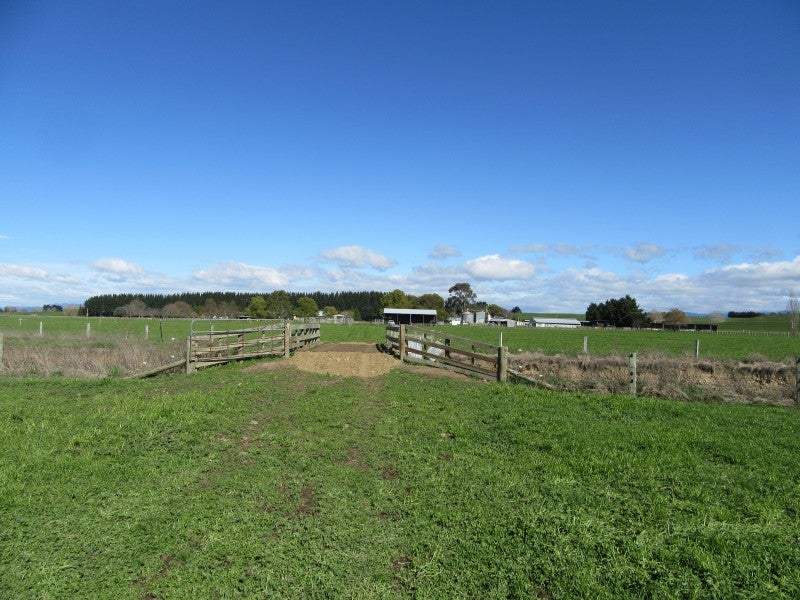 1483 Wakarara Road, Ongaonga, Ongaonga - Carousel 11