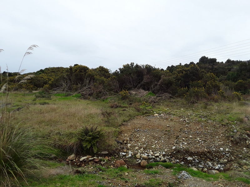2 Big Paddock, BLUE SPUR, HOKITIKA - Carousel 2