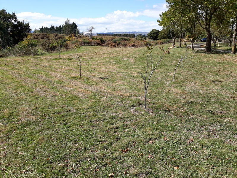 16 Bowen Street, Linton, Palmerston North - Carousel 2