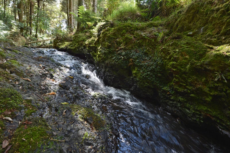 657 Kaiatea Road, Whangarei - Carousel 26