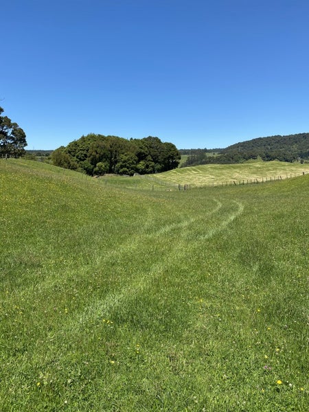 400A Paradise Valley Road, Rotorua - Carousel 2