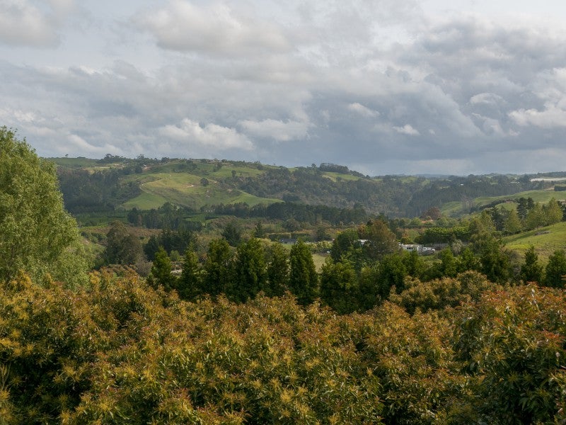 56F Plummers Point Road, Whakamārama - Carousel 14