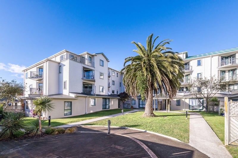 A5/13 Palm Grove, Berhampore, Wellington - Carousel 1