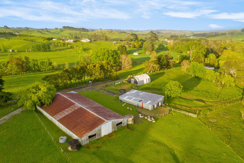 445 Kahikatea Flat Road, Kaukapakapa - Carousel 21