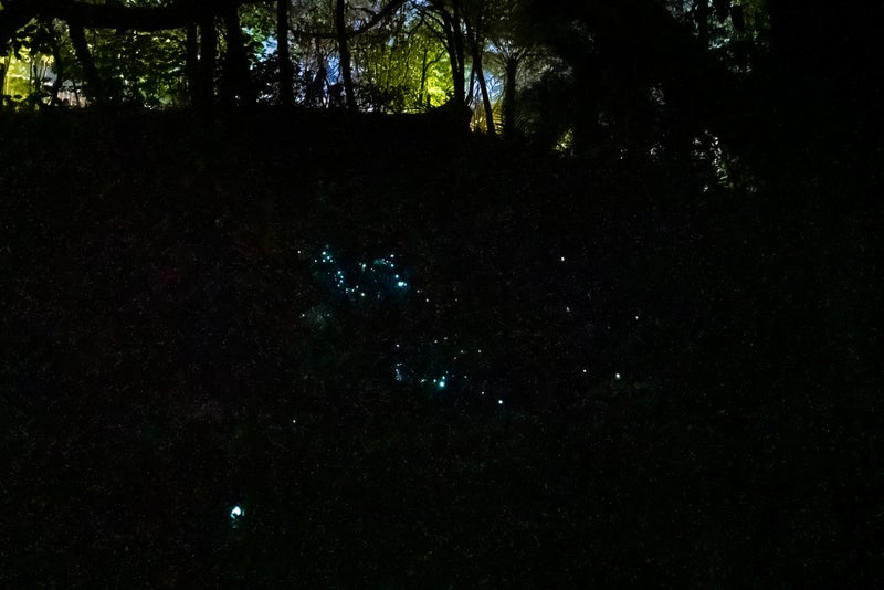 33 Golf Harbour Drive, Whangarei - Carousel 26