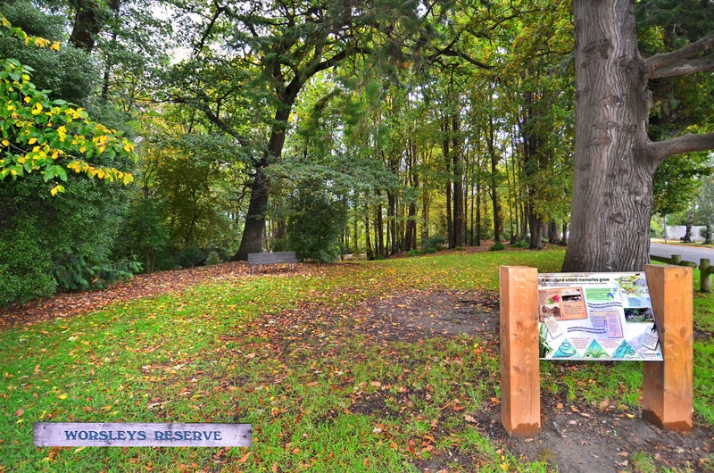 2 Holmcroft Court, Cracroft, Christchurch - Carousel 20