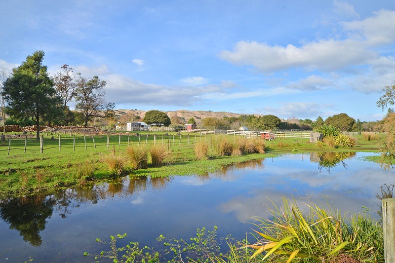 442 Te Whiti Road, Homebush, Masterton - Carousel 26