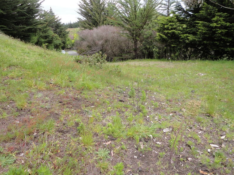 16 Sandcroft Drive, Westmere, Whanganui - Carousel 7