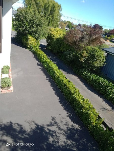 237 Fifield Terrace, Opawa, Christchurch - Carousel 21