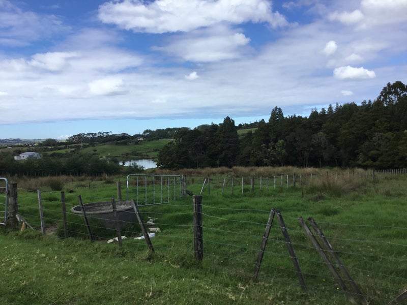 43 Ti Kouka Way, Kaiwaka - Carousel 2