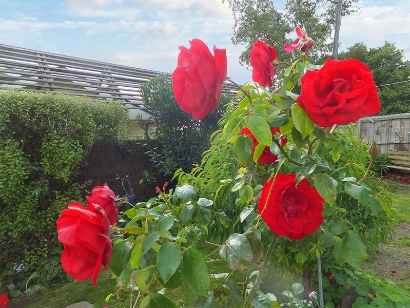 85 St Andrews Hill Road, Mount Pleasant, Christchurch - Carousel 20