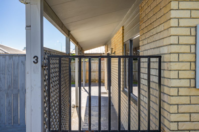 3/32 Torrens Road, Hillmorton, Christchurch - Carousel 17