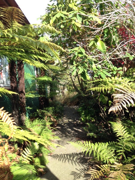 124 McFaddens Road, St Albans, Christchurch - Carousel 2