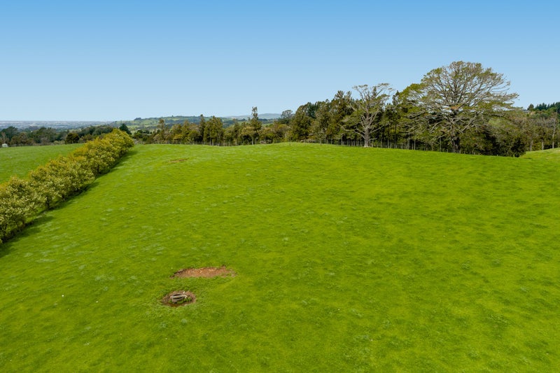 175A Tim Road, Tauranga - Carousel 12