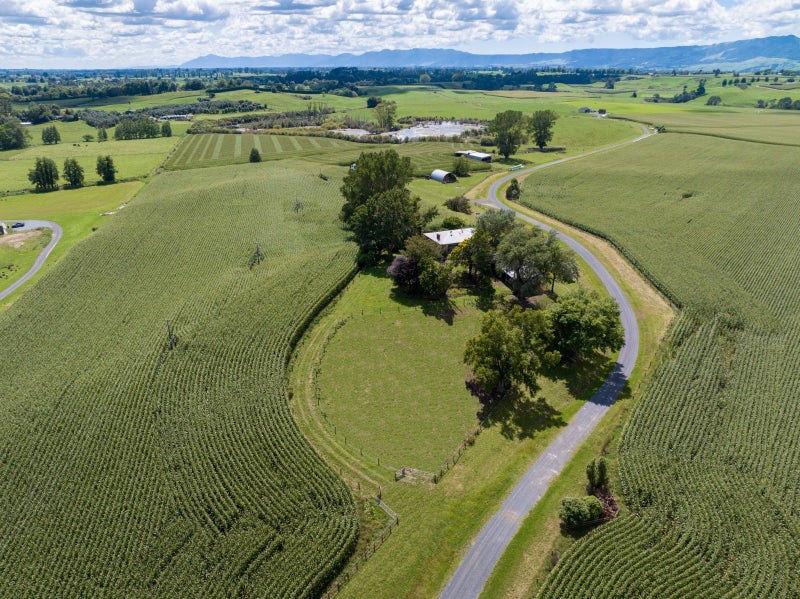 246 Lake Road, Tirau - Carousel 9