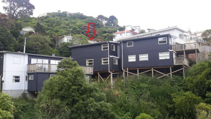 34 Farnham Street, Mornington, Wellington - Carousel 18