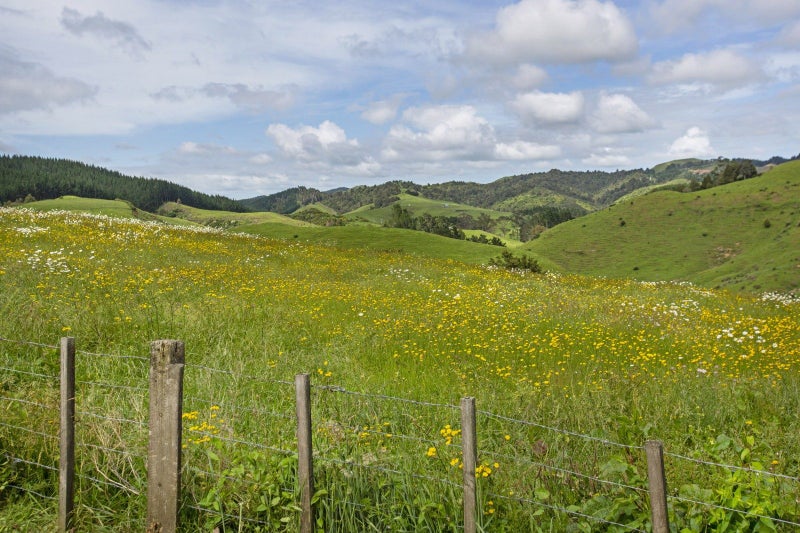 36 Joseph Street, Pukemiro, Ngāruawāhia - Carousel 10