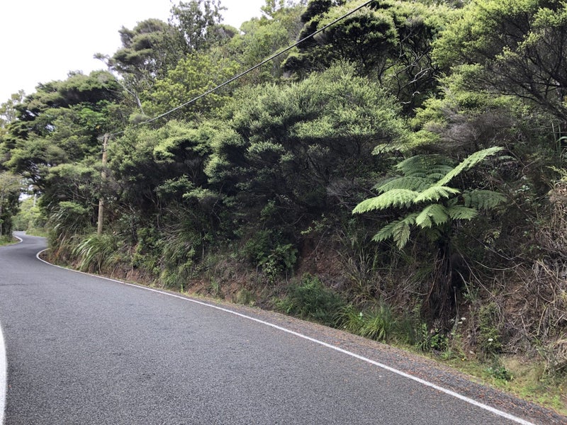127 Lone Kauri Road, Karekare, Auckland - Carousel 3