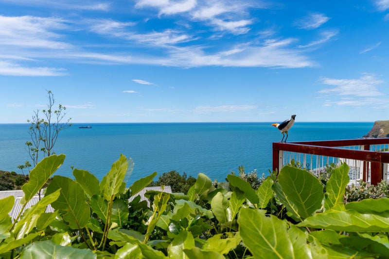 16 Smugglers Cove, Scarborough, Christchurch - Carousel 2