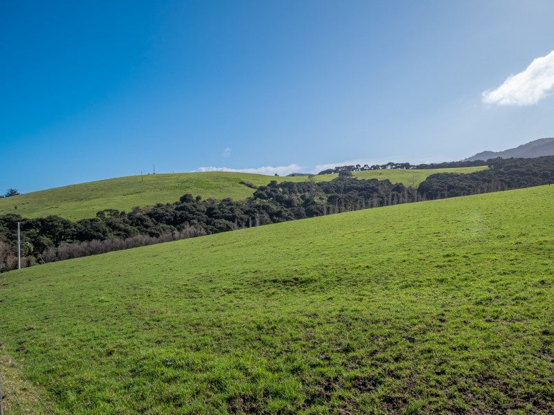 11 Wilson Way, Hihi, Mangōnui - Carousel 13