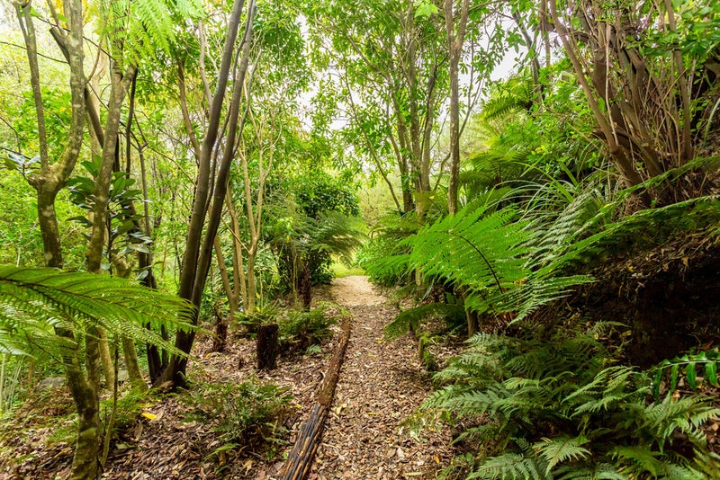 885 Governors Bay Road, Lyttelton - Carousel 26
