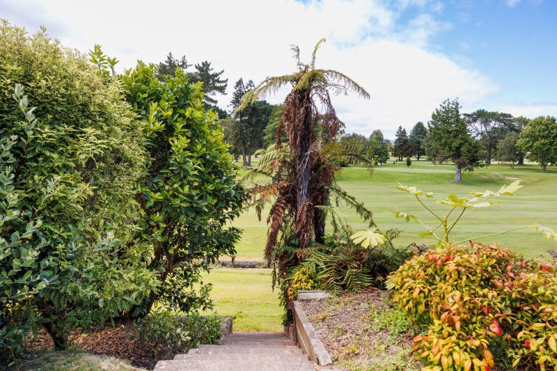 20 Opawa Place, Terrace End, Palmerston North - Carousel 21