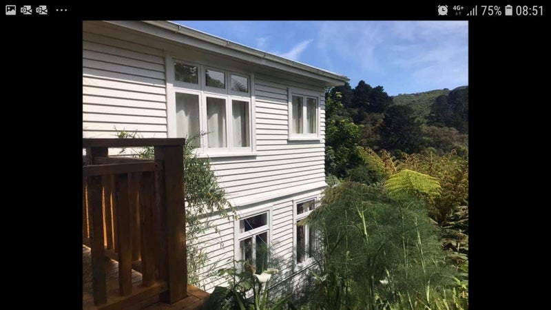 6 Semeloff Terrace, Aro Valley, Wellington - Carousel 14