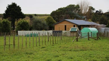 40 Potts Road, Koputaroa - Carousel 1