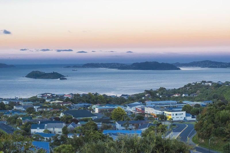 5 Peach Tree Grove, Maungaraki, Lower Hutt - Carousel 18