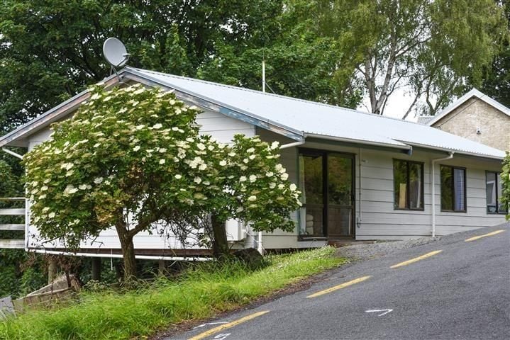 53 Buccleugh Street, North East Valley, Dunedin - Carousel 22