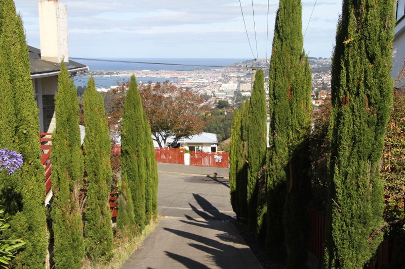 17 Dalrymple Street, Pine Hill, Dunedin - Carousel 14