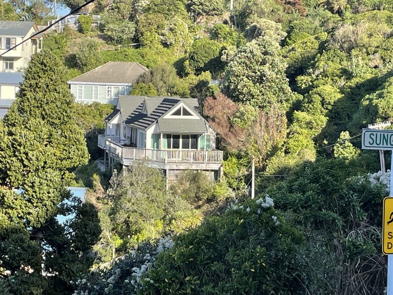 51 Hornsey Road, Melrose, Wellington - Carousel 25