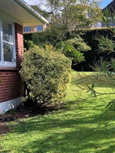 29 Sierra Street, Glendowie, Auckland - Carousel 1