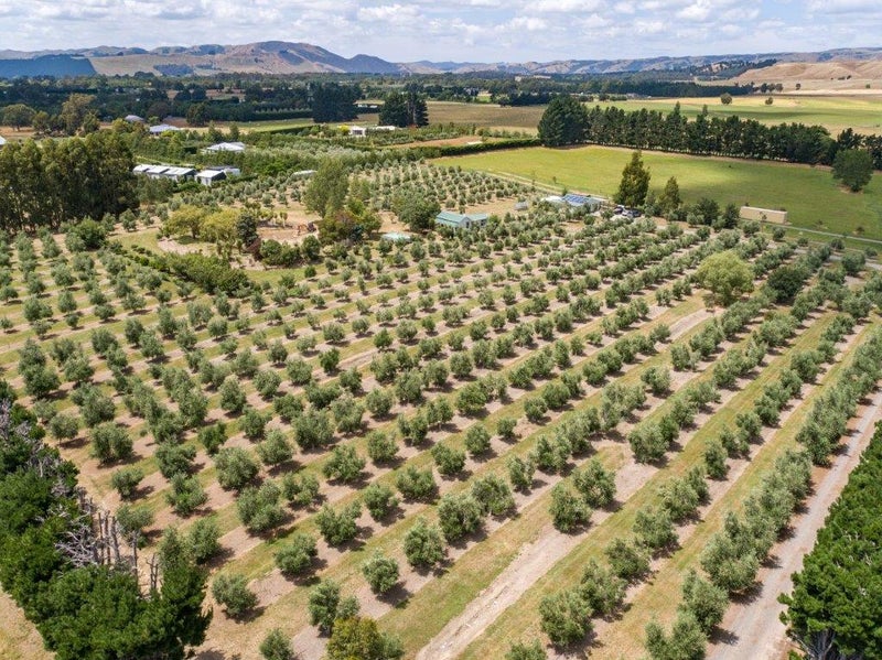 0 , Martinborough - Carousel 20