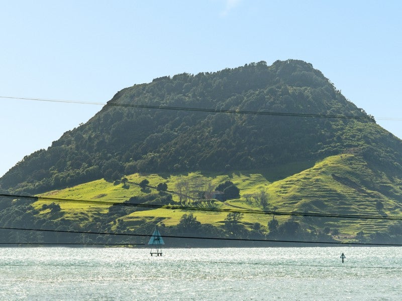 7 Finlowe Way, Otumoetai, Tauranga - Carousel 22