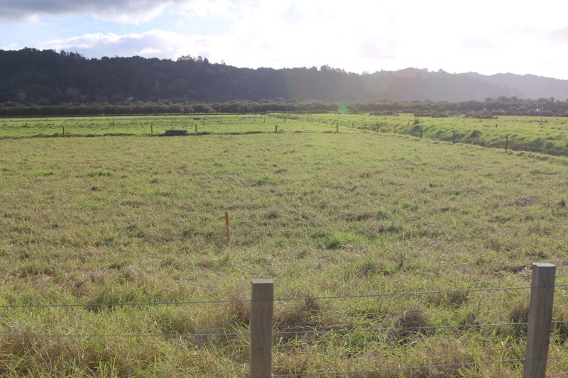 0 Motukiore, Horeke, Okaihau - Carousel 8