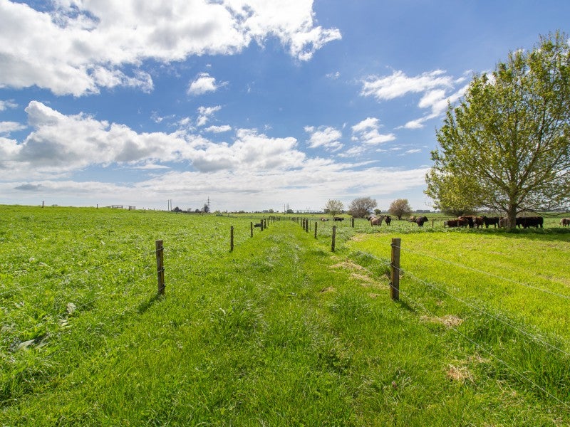 230 Hydro Road, Whakatane - Carousel 26