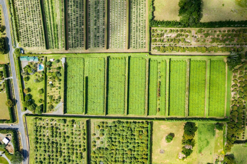 0 Snooks Road, Maungatapere, Whangarei - Carousel 22