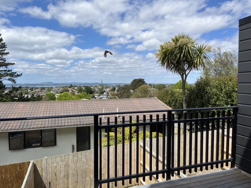 18/241 Don Buck Road, Massey, Auckland - Carousel 16