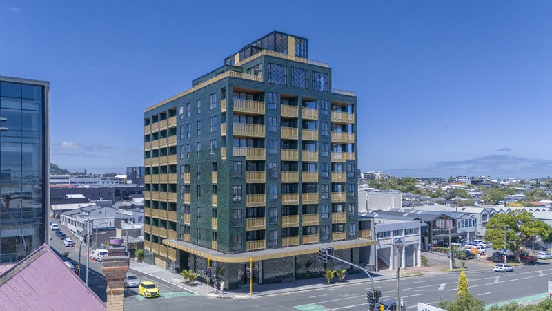 111/20 Williamson Avenue, Grey Lynn, Auckland - Carousel 23