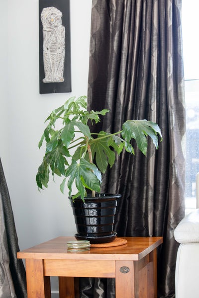 17 Leverett Place, North New Brighton, Christchurch - Carousel 26