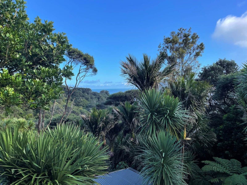 45 Rayner Road, New Lynn - Carousel 1