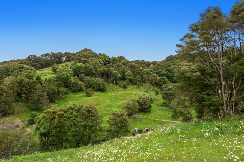 132 Foster Road, Whakatane - Carousel 2