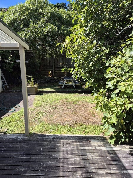 87 Austin Street, Mount Victoria, Wellington - Carousel 11